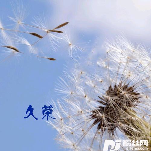 落花夕