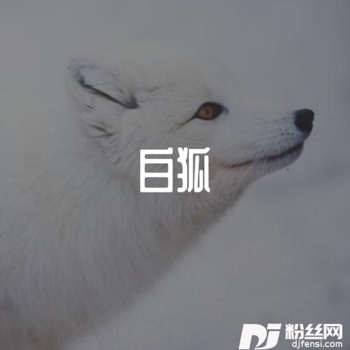 白狐（DJ北风版）的专辑