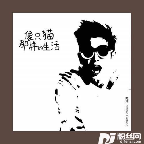 像只猫那样的生活