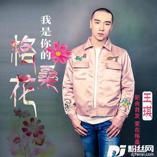 我是你的格桑花