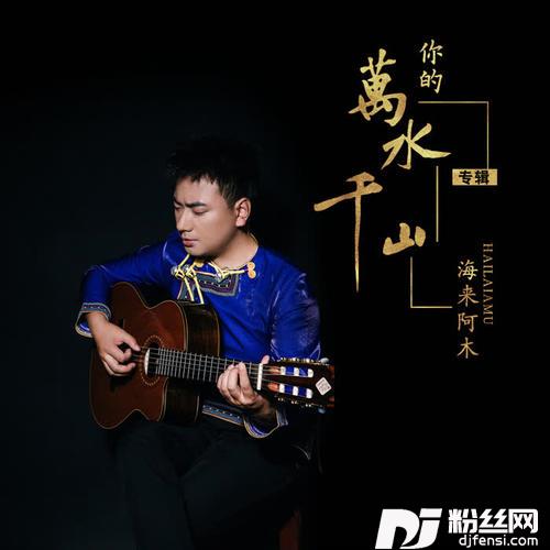 你的万水千山DJ沈念版的专辑