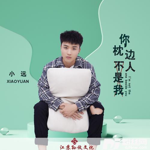 你枕边人不是我（DJ版）
