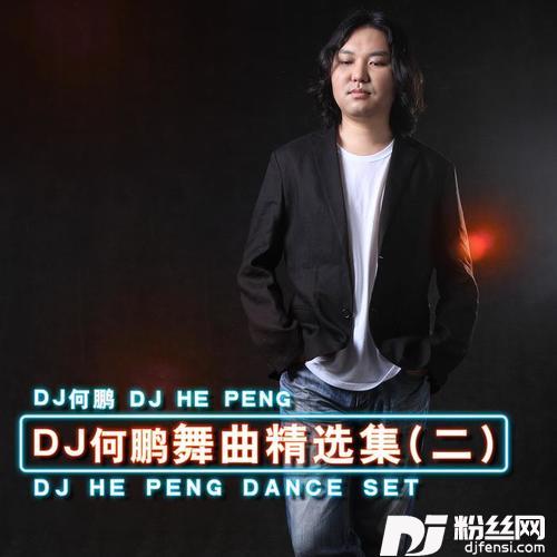 伤了心输了爱DJ版
