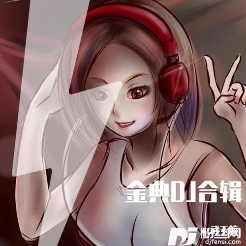 朋友的酒DJ版