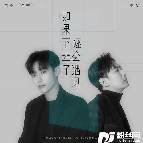 如果下辈子还会遇见的专辑