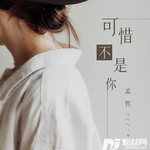 可惜不是你