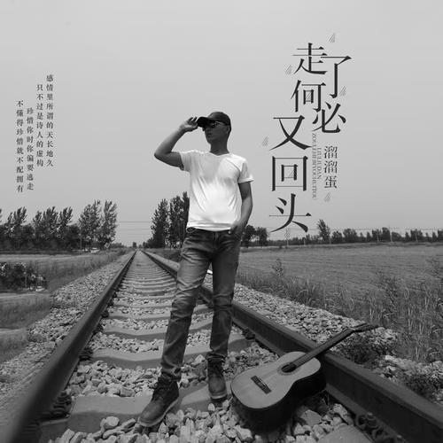 走了何必又回头的专辑