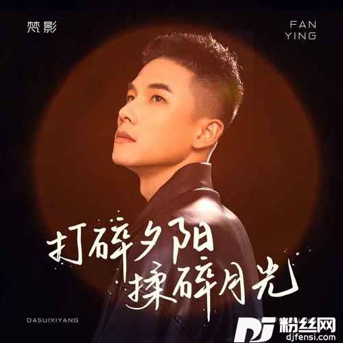 打碎夕阳揉碎月光的专辑