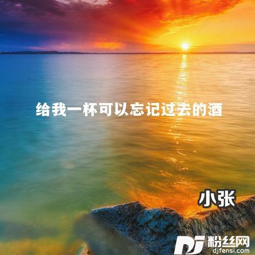 给我一杯可以忘记过去的酒小张Mix