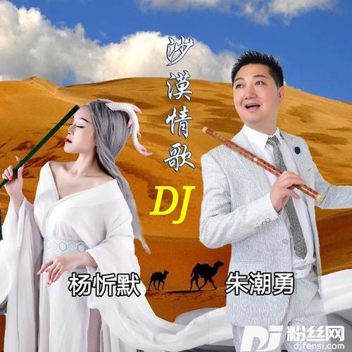沙漠情歌DJ何鹏版的专辑