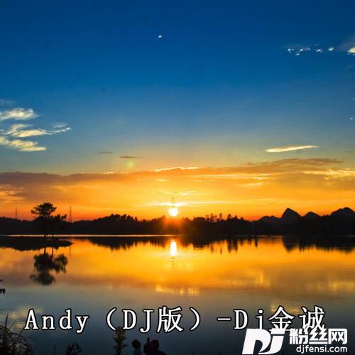 AndyDJ版的专辑