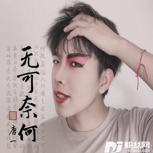 无可奈何