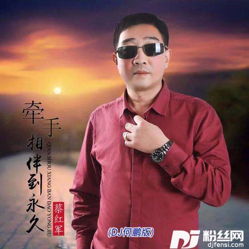 牵手相伴到永久DJ何鹏Remix
