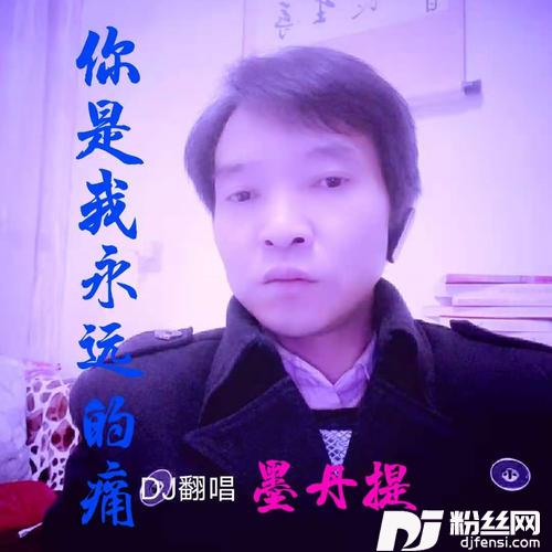 你是我永远的痛DJ何鹏版
