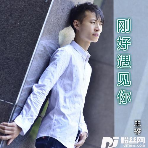 刚好遇见你的专辑