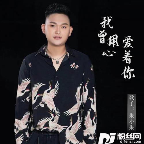 我曾用心爱着你DJ京仔版的专辑