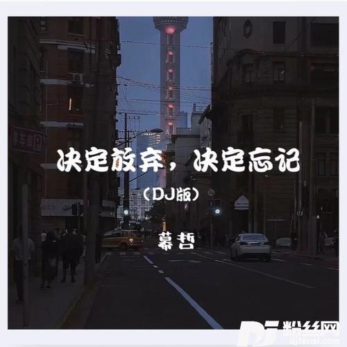 决定放弃，决定忘记（DJ版）