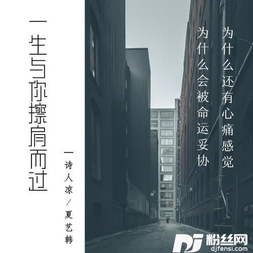 一生与你擦肩而过原版