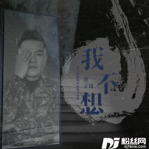 我不想的专辑