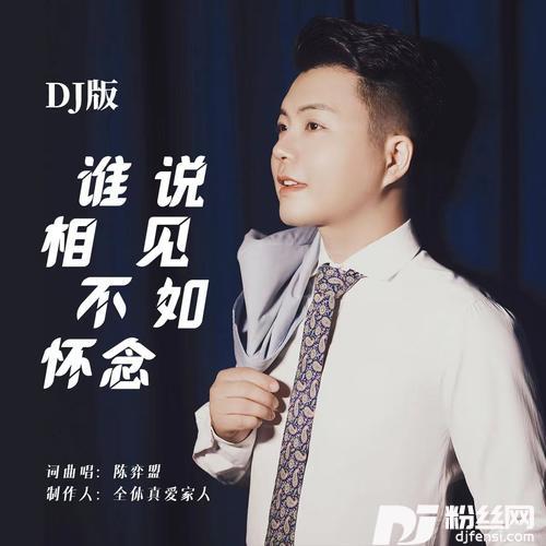 谁说相见不如怀念（DJ版）