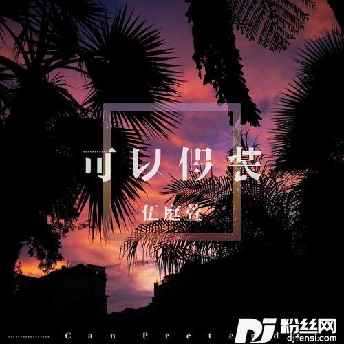 可以假装的专辑