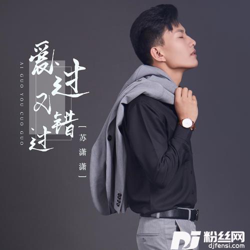 爱过又错过DJ默涵版