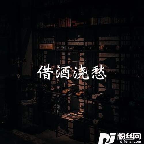 借酒浇愁DJ伟然咚鼓版