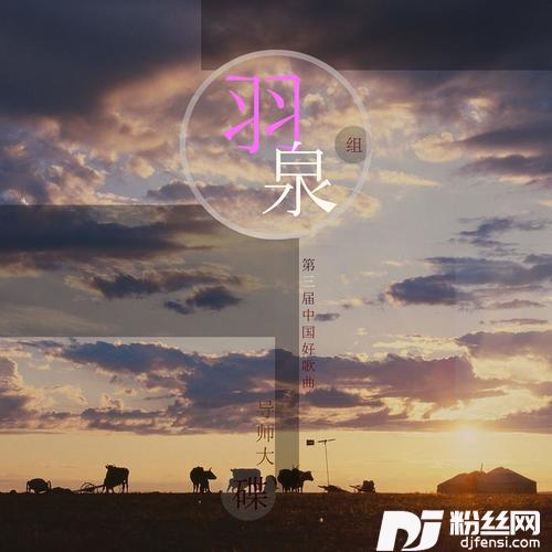 云花开的专辑