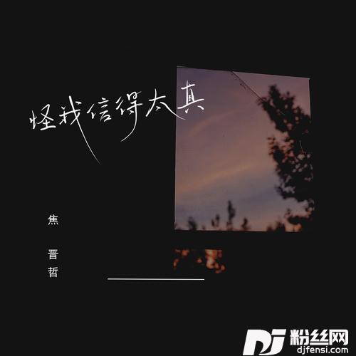 怪我信得太真的专辑