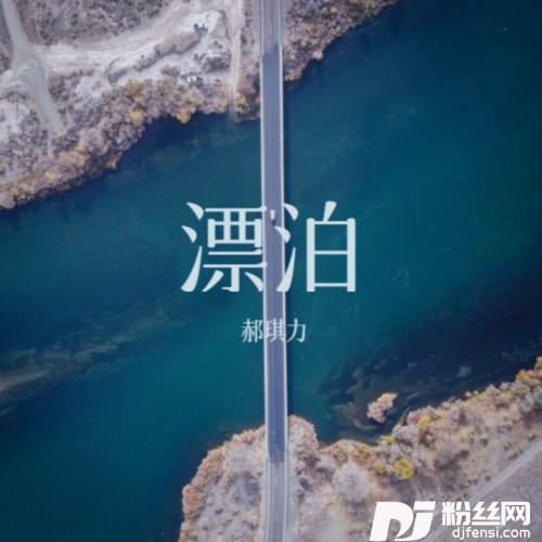 漂泊的专辑