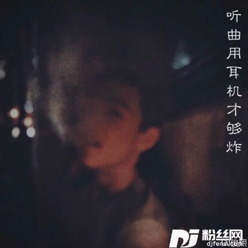 车载低音炮的专辑