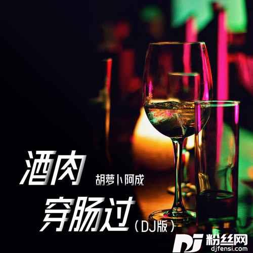 酒肉穿肠过DJ版