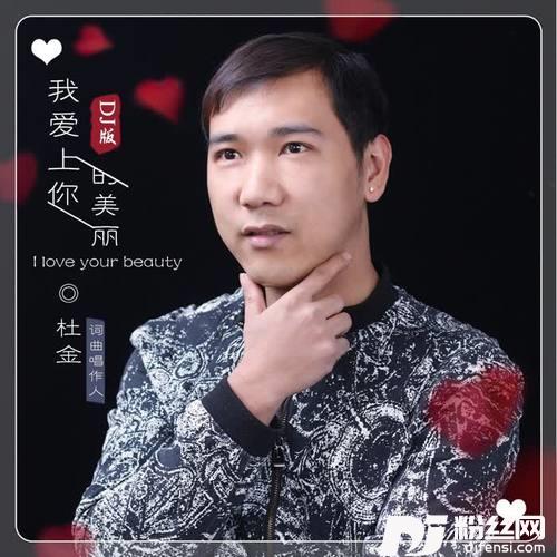 我爱上你的美丽（DJ版）