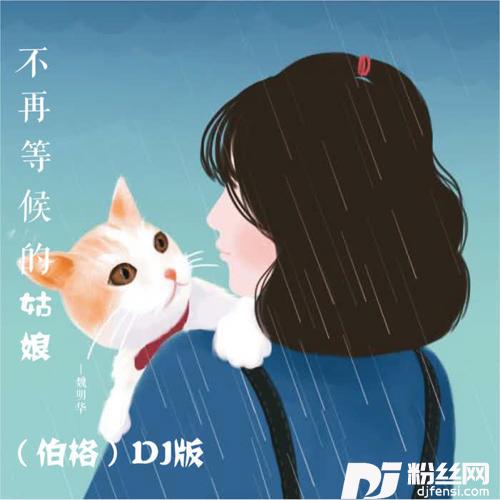 不再等候的姑娘伯格DJ版