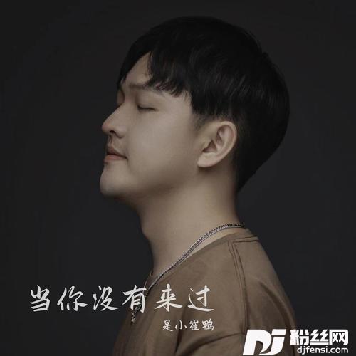 当你没有来过