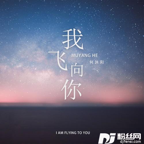 我飞向你通航版