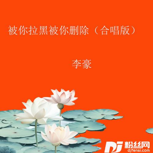 被你拉黑被你删除合唱版
