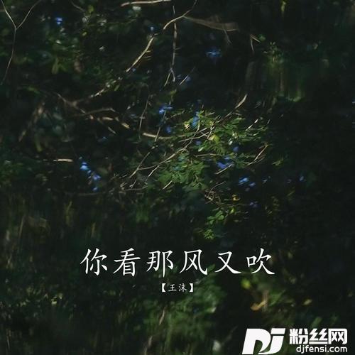 你看那风又吹的专辑