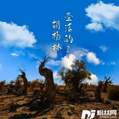 圣洁的胡杨林