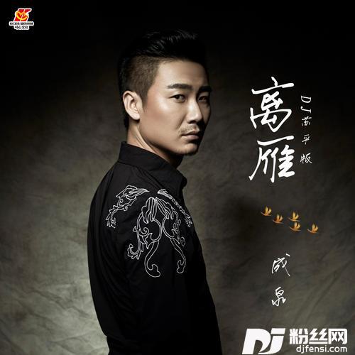 离雁DJ苏平版