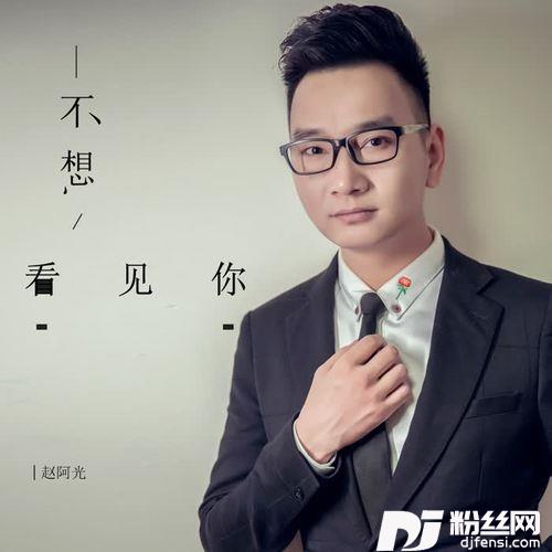 不想看见你（dj花哨版）的专辑