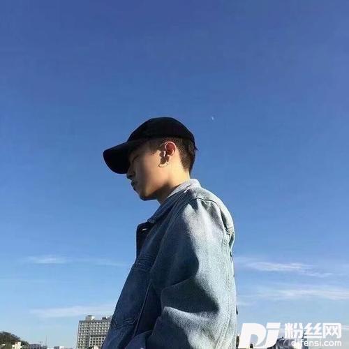 广东爱情故事王展鹏Remix的专辑