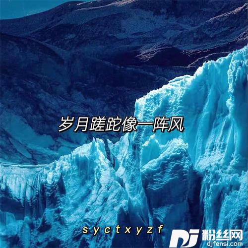 岁月蹉跎像一阵风DJ完整版