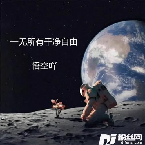 都是月亮惹的祸DJ版的专辑