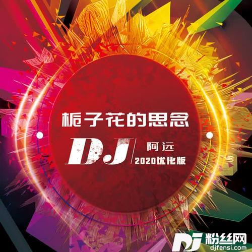 栀子花的思念（DJ阿远2020优化版）