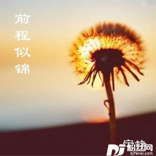 前程似锦的专辑