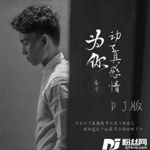 为你动了真感情DJ沈念版的专辑