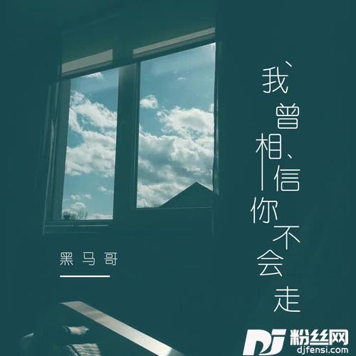 我曾相信你不会走DJ可乐版