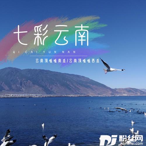 七彩云南DJ光波版