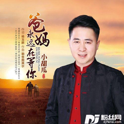 爸妈永远在等你的专辑